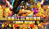 天侣屠龙专属